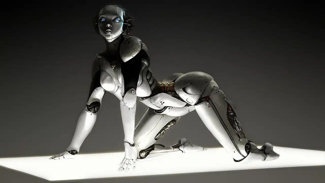 Robot sexuel 2
